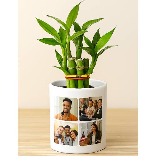 Pen Holder/Flower Pot 